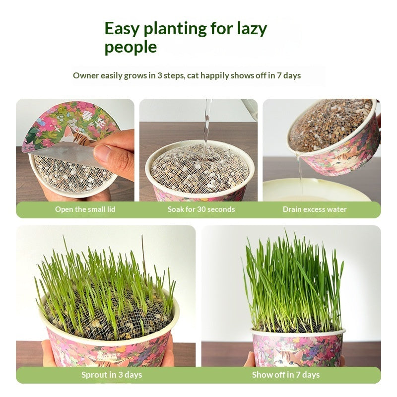 Soil-free Mixed Cat Grass Treats Pets Fashion