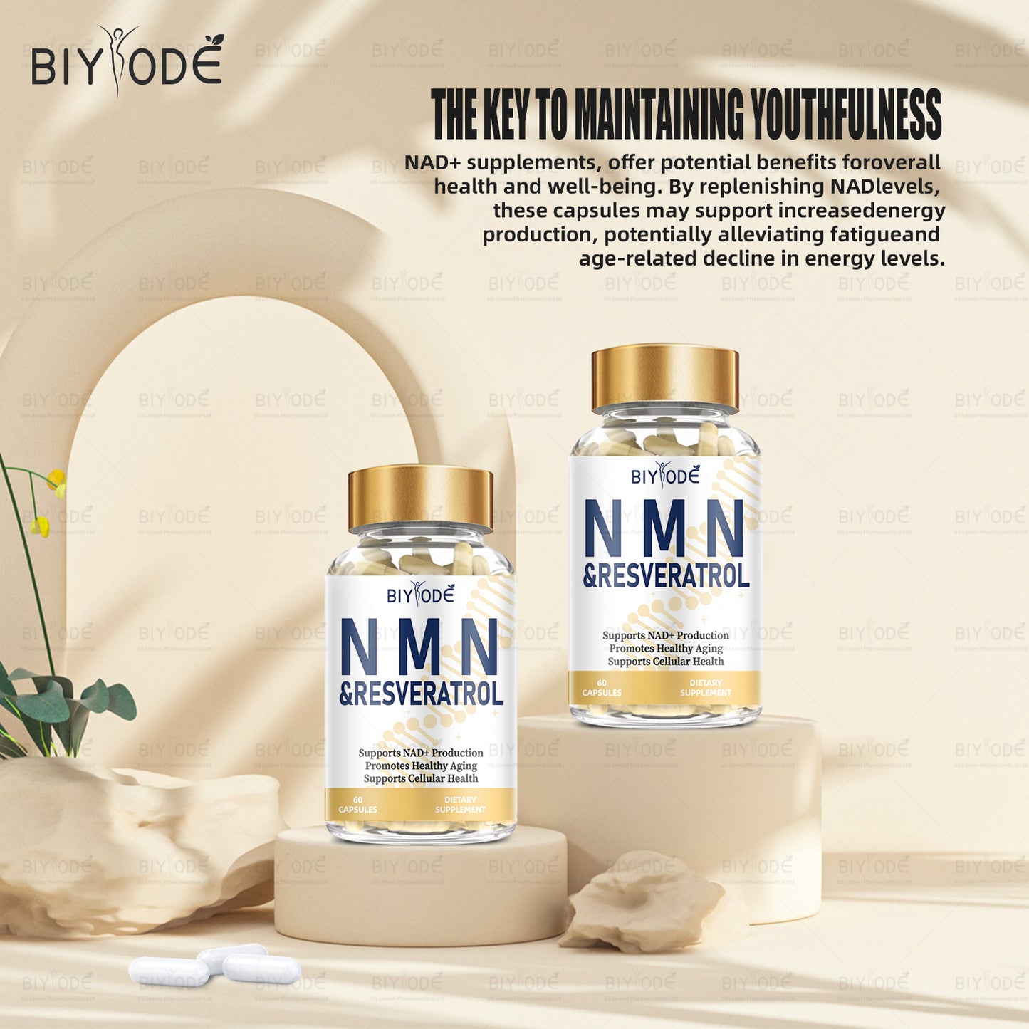 OEM Custom Food Supplements Health Vitamins Nad Supplement Wholesale Immune Support Promotes DNA Repair NMN Capsules