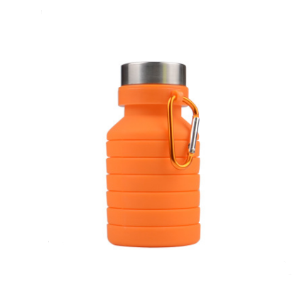 Collapsible Silicone Water Bottle LadyShow.Store
