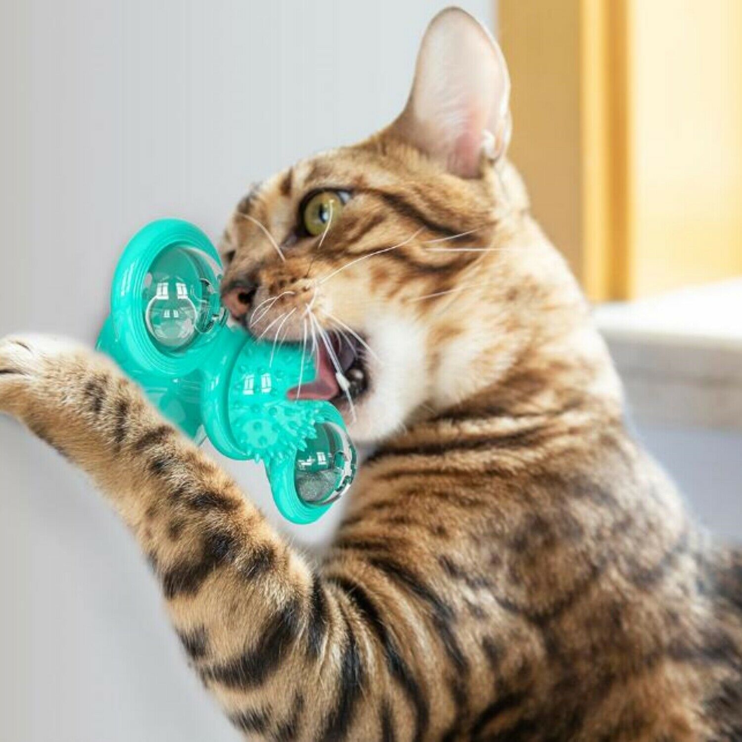 New Windmill Cat Toys Cute Rotating Interactive Cat Toy - Indoor Windmill Cat Toy With Suction Cup Catnip & Jagged Teeth Middle Ball, Smart Kitten Rotating Spinner Exercise Toy, Toothbrush & Massager Pets Fashion