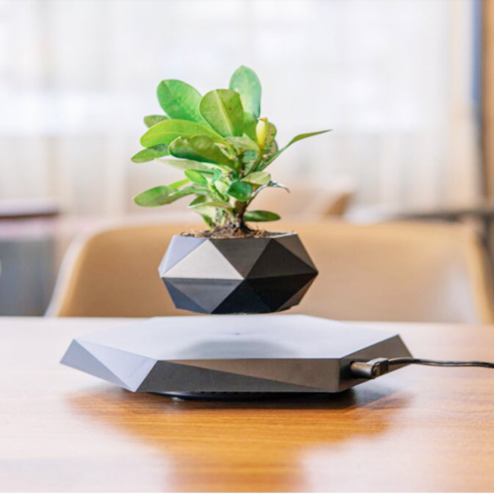 Levitating Magnetic Flower Pot PearlNestDecor.com