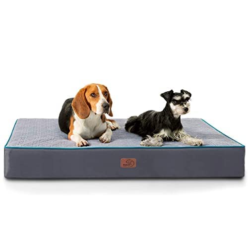 Bedsure Orthopedic Dog Bed for Medium Dogs - Memory Foam Dog Beds 2-Layer Thick Pet Bed with Removable Washable Cover and Waterproof Lining (30x20x3 Inches) Grey Best YouTube Store