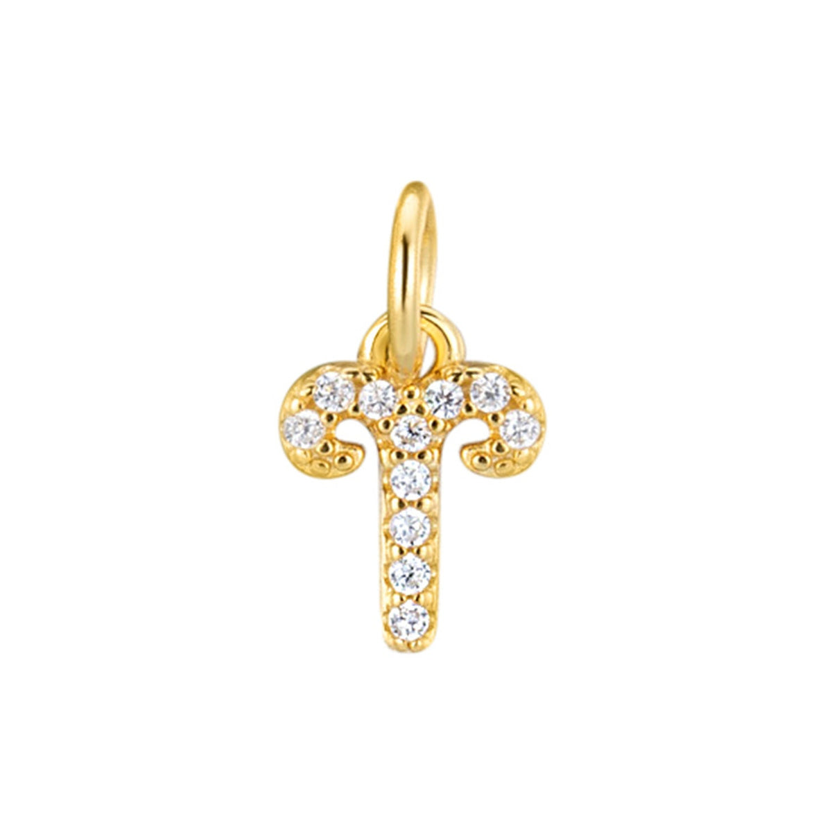 S925 Silver 12 Zodiac Sign Pendant LadyShow.Store