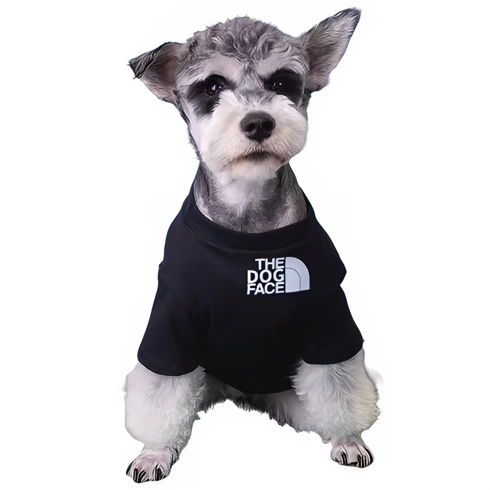 a7084e92-c0e1-47b6-8185-2428672c4e0b