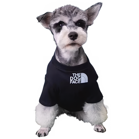 a7084e92-c0e1-47b6-8185-2428672c4e0b