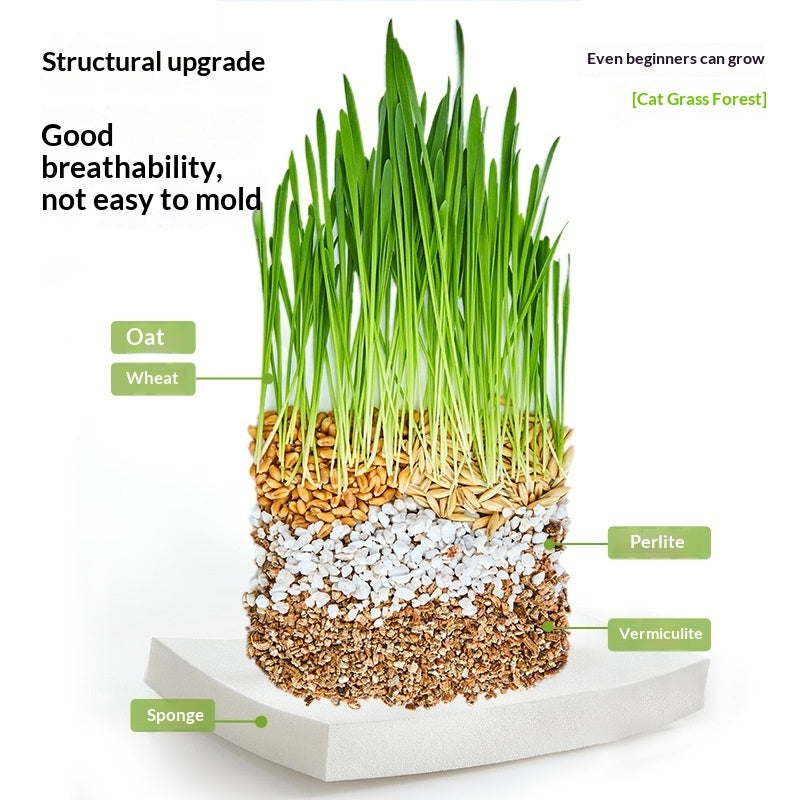 Soil-free Mixed Cat Grass Treats Pets Fashion