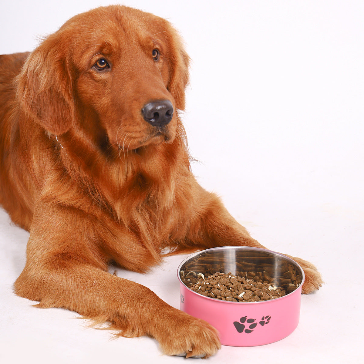 Stainless Steel Dog Bowl Large Capacity Anti-tumble Cat Bowl Pets Fashion