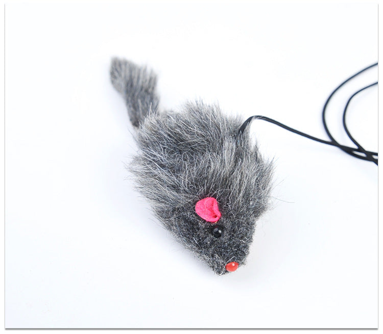 Pet Telescopic Hanging Door Small Mouse Pets Cat Toy Pets Fashion
