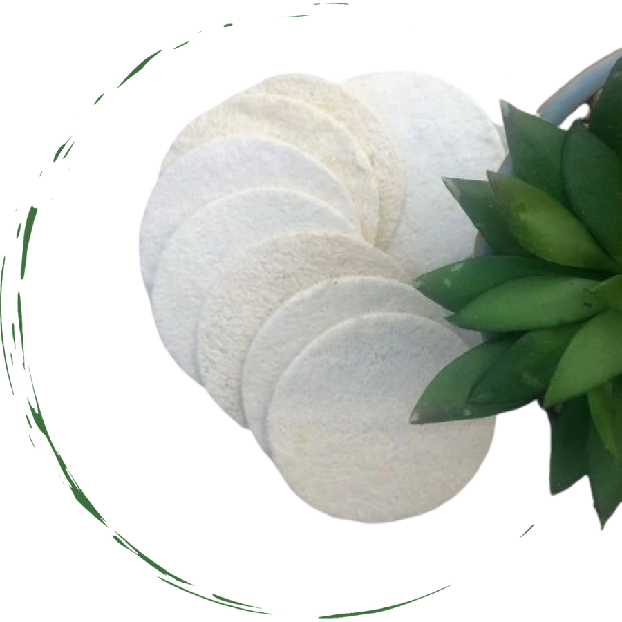 Natural Loofah Pads 5-pcs LuxuryLifeWay Online Store