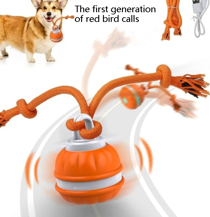 Pet Ball For Dogs Interactive Toys Motion Activate Rolling Ball For Puppy Small Dogs Automatic Moving Toy USB Rechargeable Toy Pet Products Pets Fashion