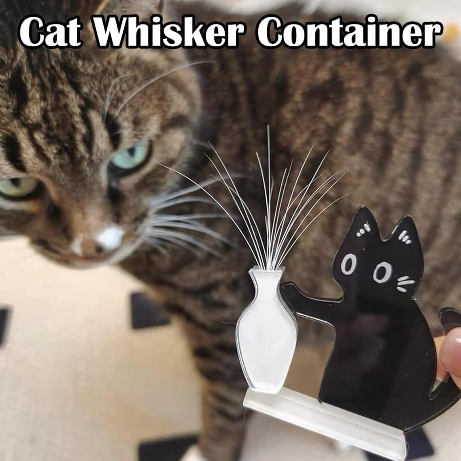 Creative Black Cat Fridge Magnet Acrylic Refrigerator Sticker Cat Whisker Fridge Magnet Figurine Kitchen Decor Gifts PearlNestDecor.com