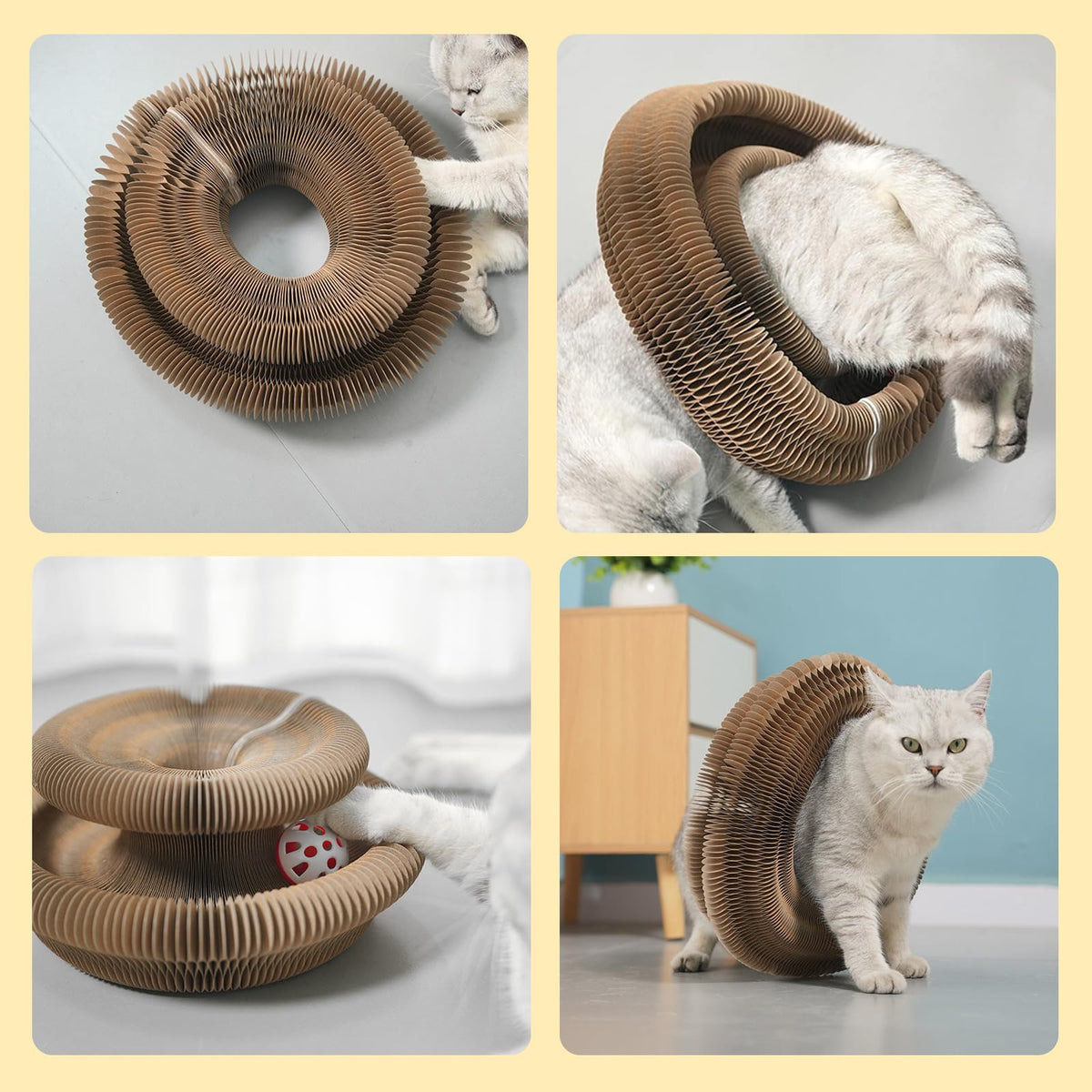 Cat Accordion Cat Toy Kitty Kurlz Cat Toy Ball Scratch Pad Magic Organ Cat Scratching Board Cat Scratcher Pets Fashion