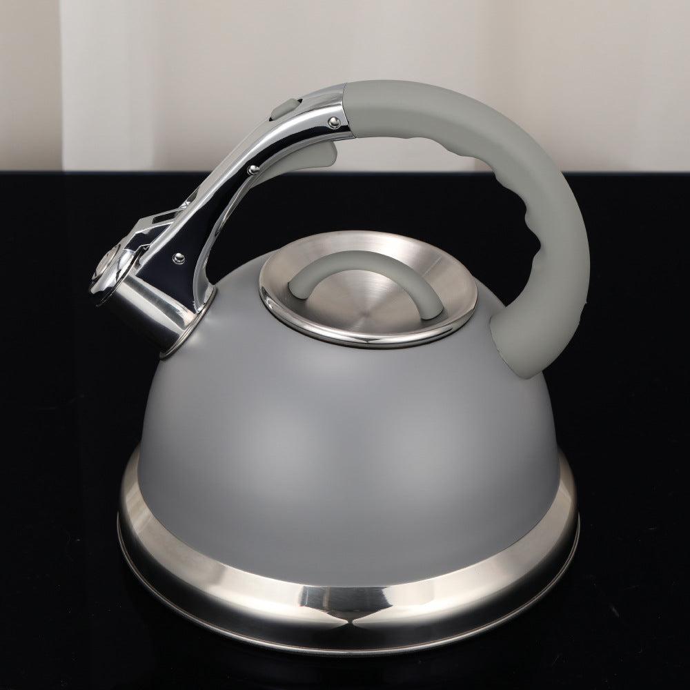 Household Color Matching Stainless Steel Whistle Kettle PearlNestDecor.com