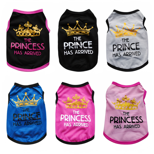 b2f349d7-74d1-478c-9c98-981b32be9461