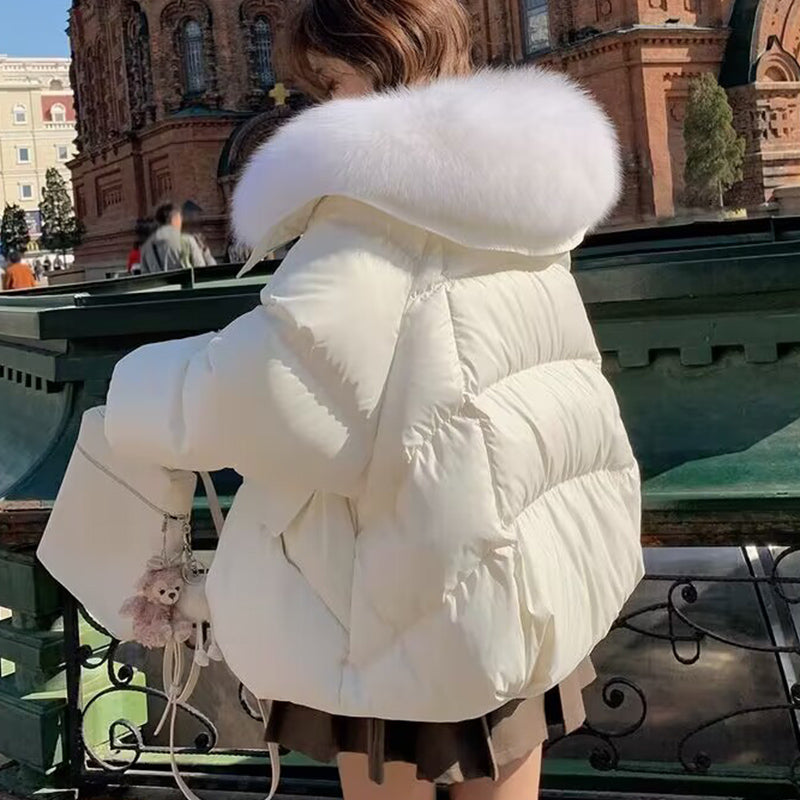 Down Cotton-padded Jacket Women's Short Fur Collar Thickened Coat Winter Clothing LadyShow.Store