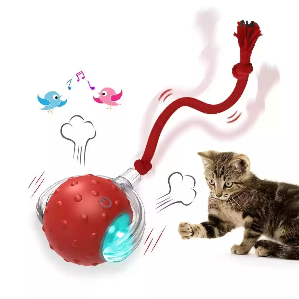 Interactive Cat Toy Ball Super Drive Cat Rolling Balls With Pets Fashion