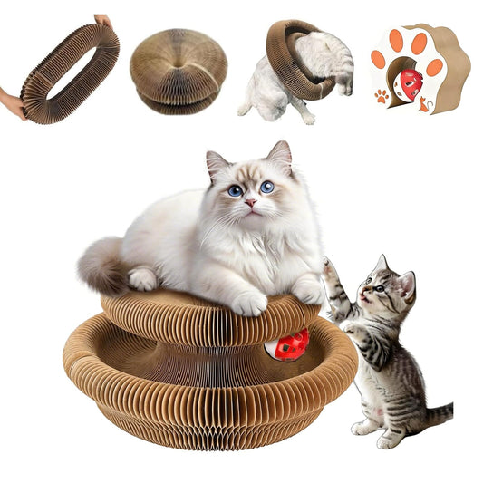Cat Accordion Cat Toy Kitty Kurlz Cat Toy Ball Scratch Pad Magic Organ Cat Scratching Board Cat Scratcher Pets Fashion