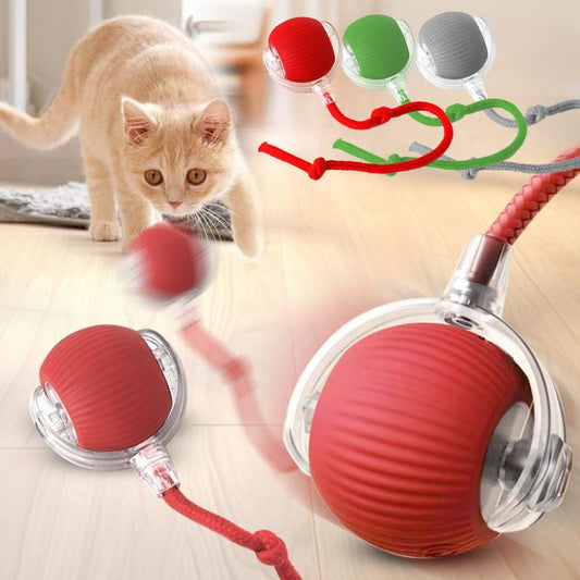 Cat Interactive Ball Toys Automatic Rolling Ball For Kitten Rechargeable Smart Pet Electric Toys With Teaser Sensor Cat Ball Toy LadyShow.Store