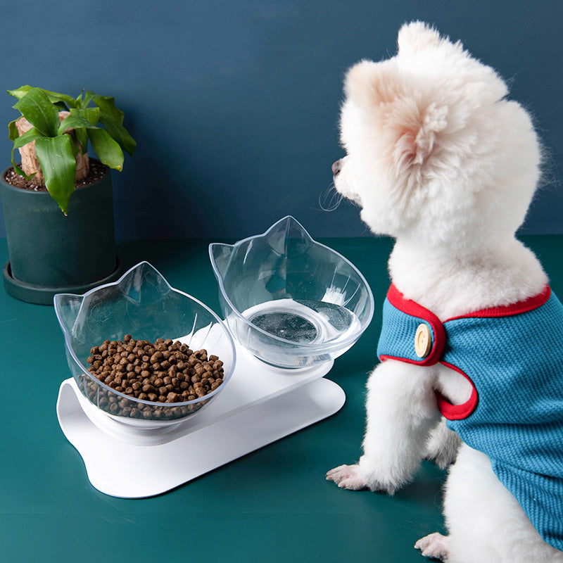 New Inclined Food Cat Ear Oblique Mouth Transparent Single Pet Bowl Pets Fashion
