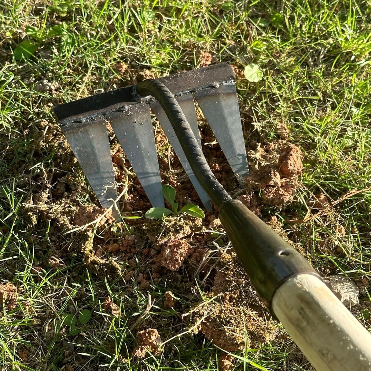 2 PCS Carbon Garden Hand Rake Tool Metal Heavy Duty Weeding Rake Iron Hoe Rake For Backyard Gardening Weeding Loosening Farm Planting - 4 And 6 Tines