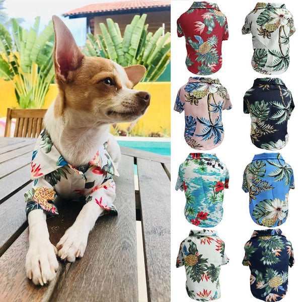 Dog Spring And Summer Thin Shirt Corgi Blue Cat Clothes Pets Fashion