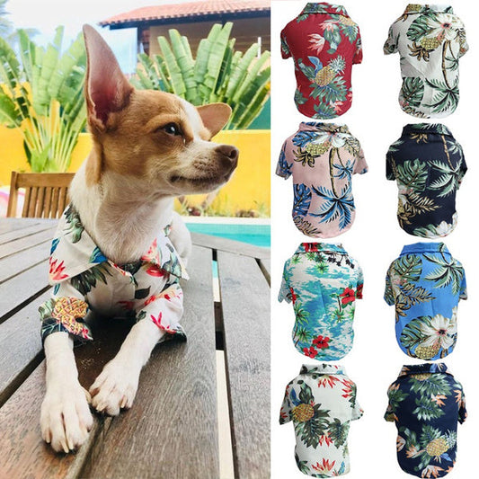 Dog Spring And Summer Thin Shirt Corgi Blue Cat Clothes Pets Fashion