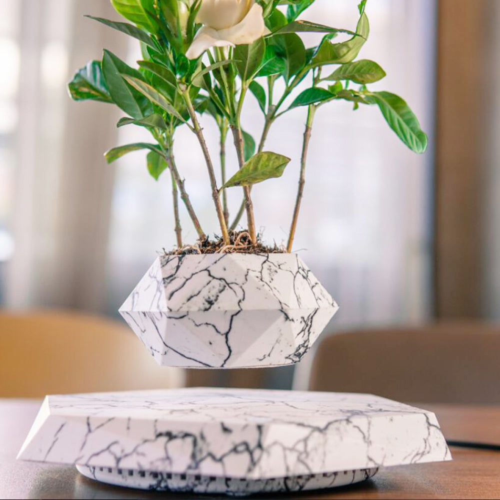 Levitating Magnetic Flower Pot PearlNestDecor.com