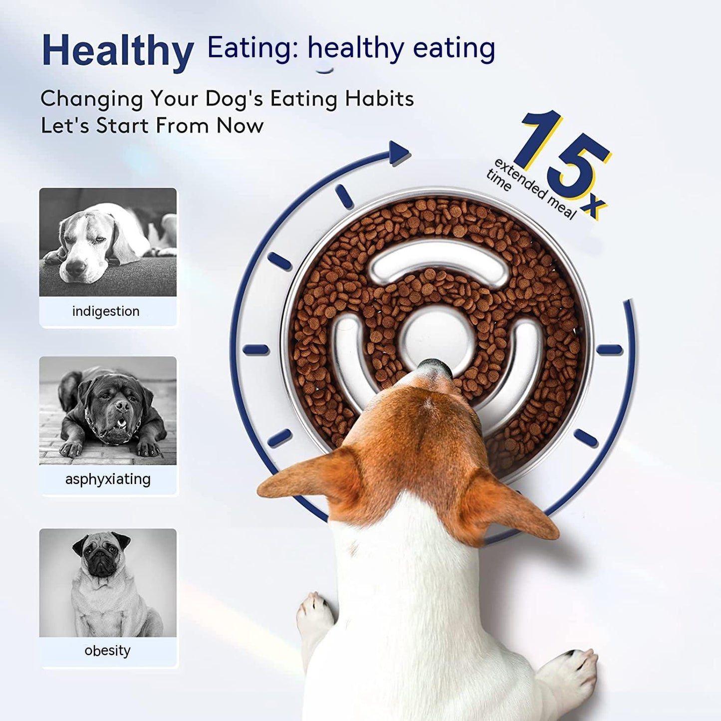Pet Slow Feeding Bowl Stainless Steel Neck Protector Pets Fashion