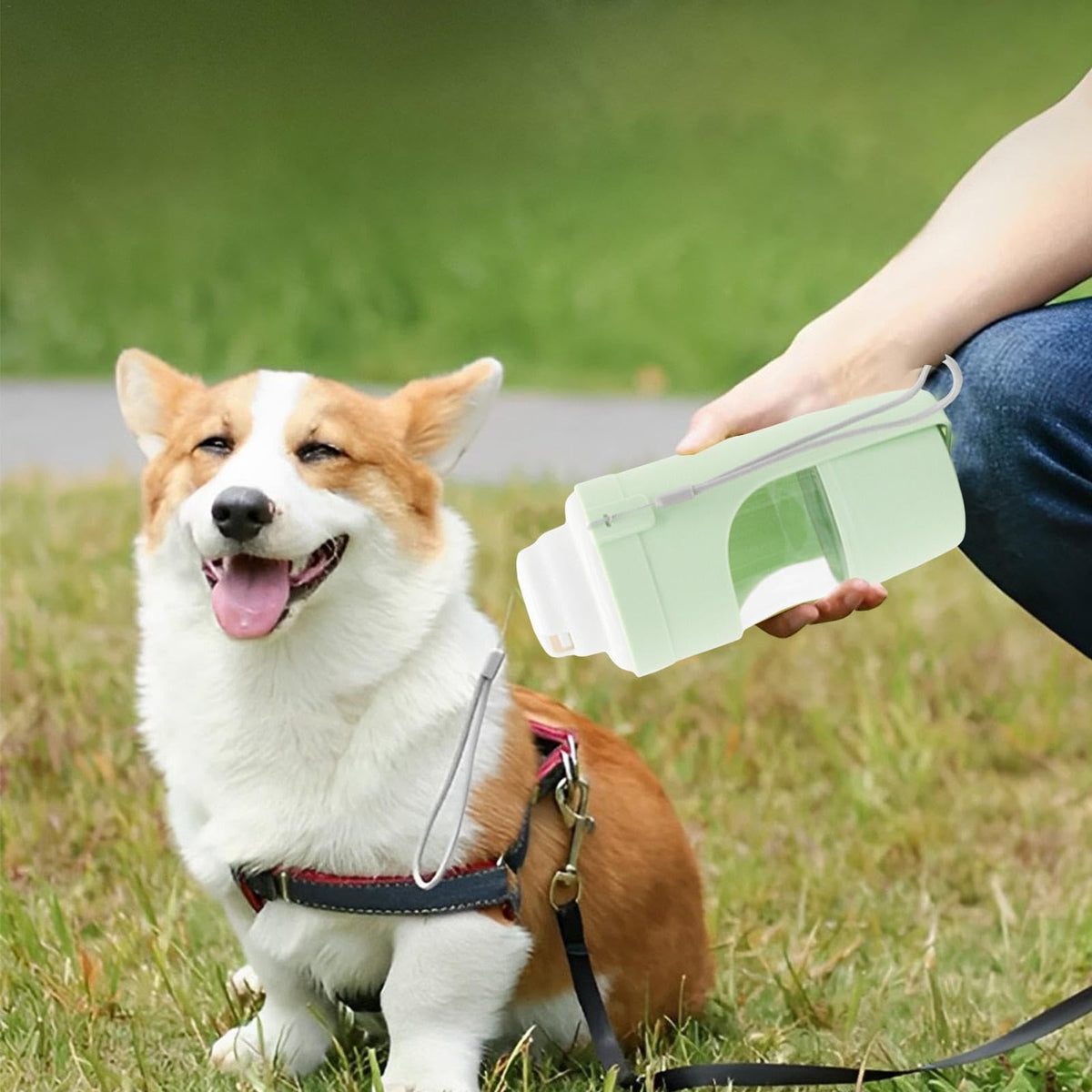 2 In 1 Travel Dog Water Bottle Pet Water Dispenser Feeder Drinking Feeder Dog Outing Water Feeder Pets Outdoor Portable Cup Pet Products Pets Fashion
