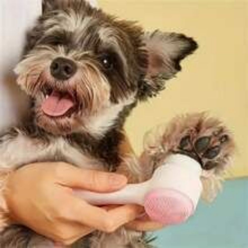 Easy Clean Nylon Pet Paw Brush Gentle Grooming And Massage Tool For Dogs And Cats Pet Grooming Supplies Pets Fashion