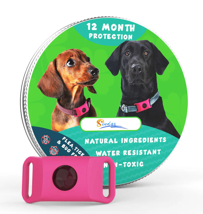Flea Tick Tick Tick Collar Pets Fashion