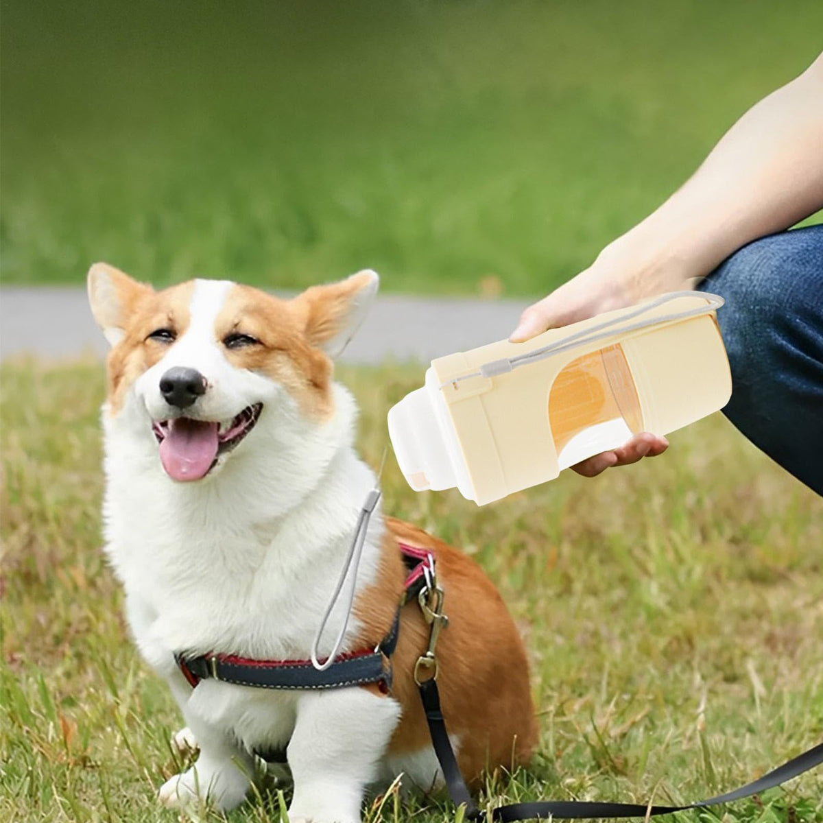 2 In 1 Travel Dog Water Bottle Pet Water Dispenser Feeder Drinking Feeder Dog Outing Water Feeder Pets Outdoor Portable Cup Pet Products Pets Fashion