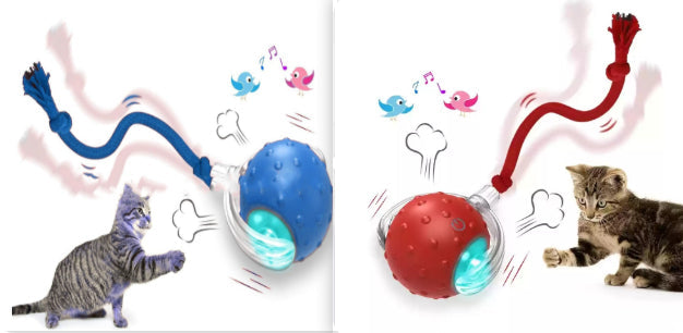 Interactive Cat Toy Ball Super Drive Cat Rolling Balls With Pets Fashion