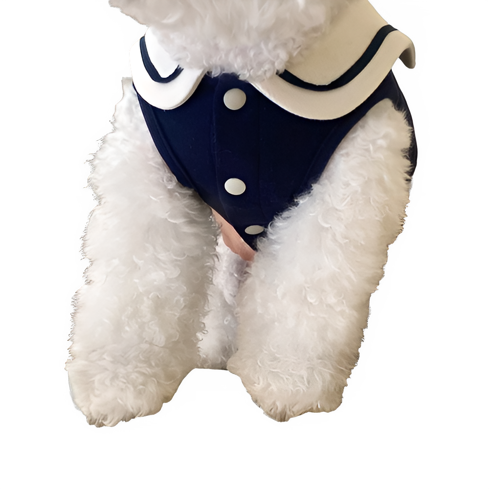 c997bd18-9629-4c9d-af1a-84c919321415