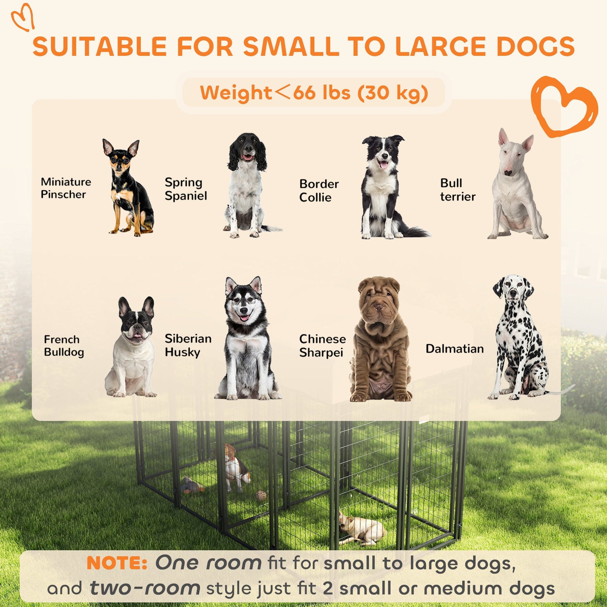 Outdoor Dog Kennel with Two-Room Design Best YouTube Store