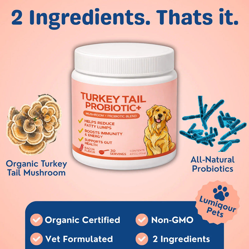 Pet Turkey Tail Mushroom Powder Pets Fashion