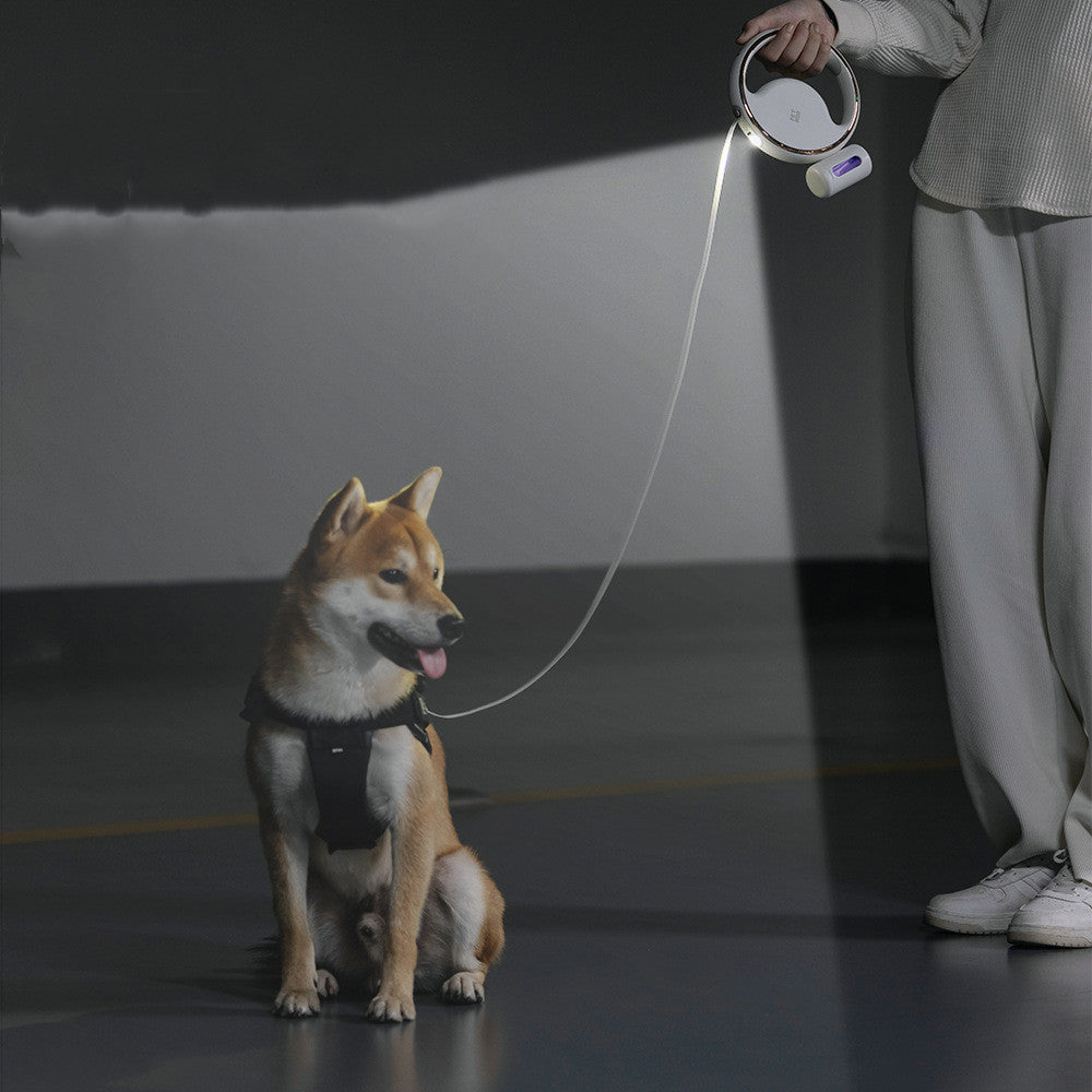 Automatic Lighting Retractable Dog Leash Pets Fashion