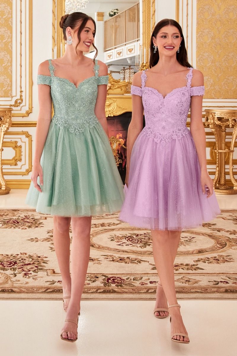 Off The Shoulder Lace Cocktail Dress LuxuryLifeWay Online Store