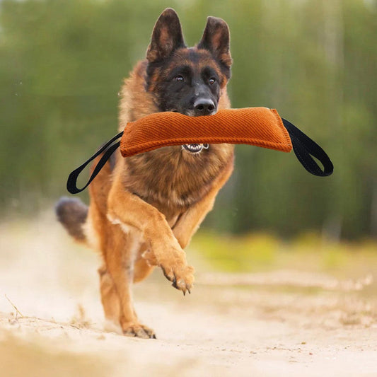 Dog Drag Toy Dog Jute Bite Pillow Durable Training Equipment Pets Fashion
