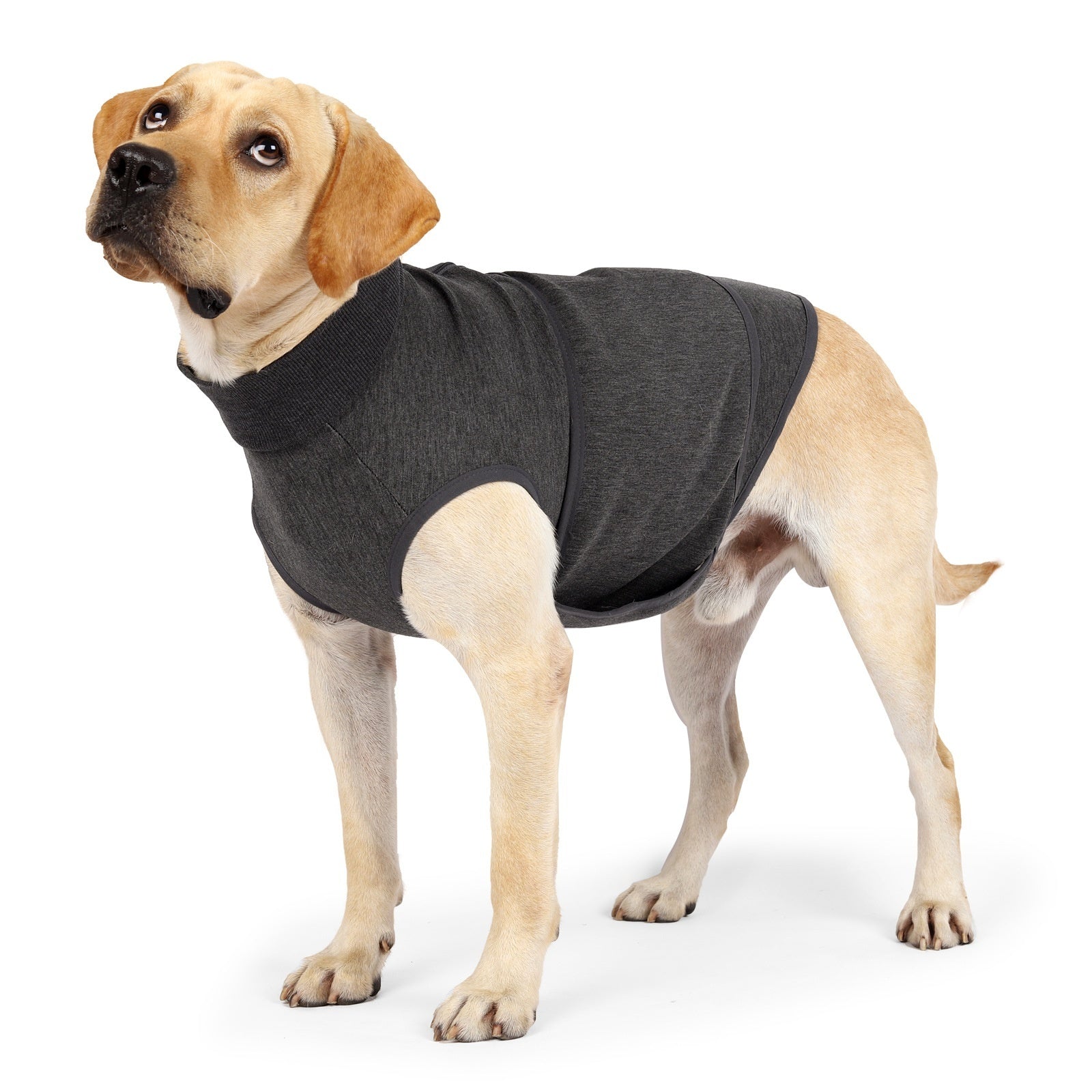 Soothing Clothes Anti-scare Pet Mood Soothing Clothes Pets Fashion
