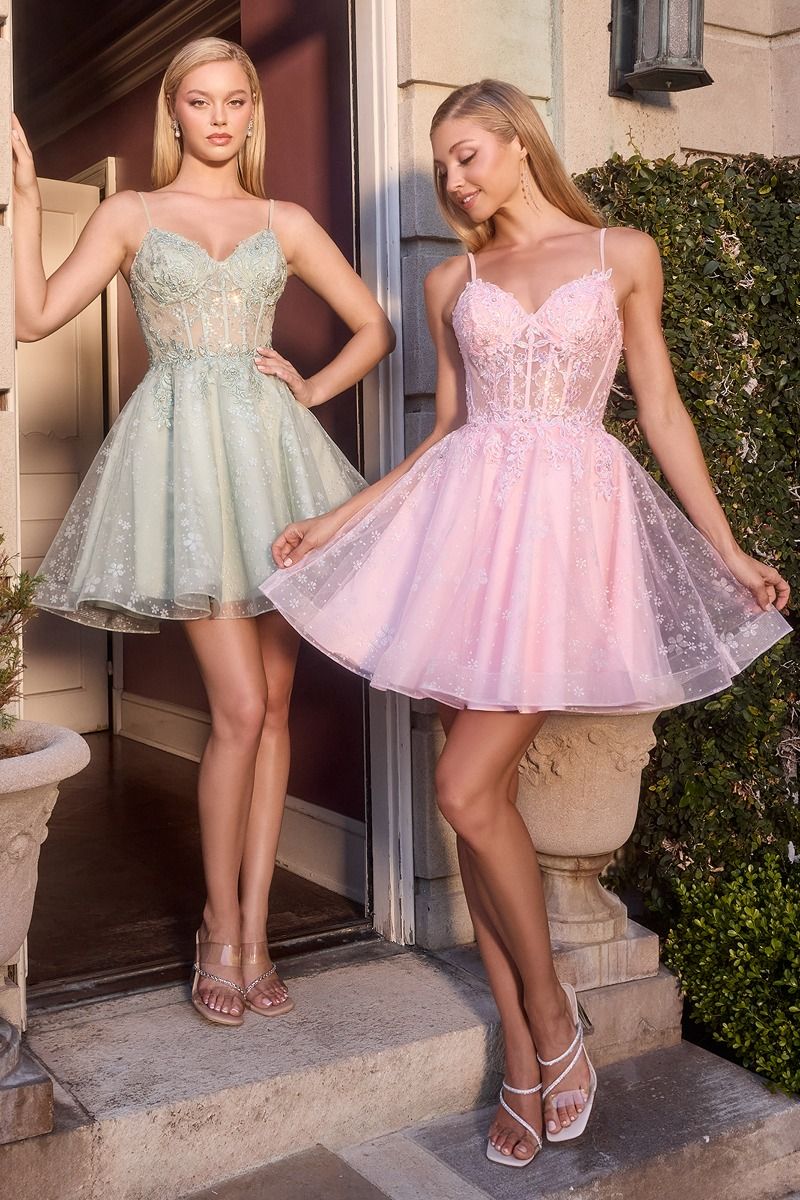 Floral Embroidered Tulle A-Line Mini Dress with Sheer Corset Bodice LuxuryLifeWay Online Store