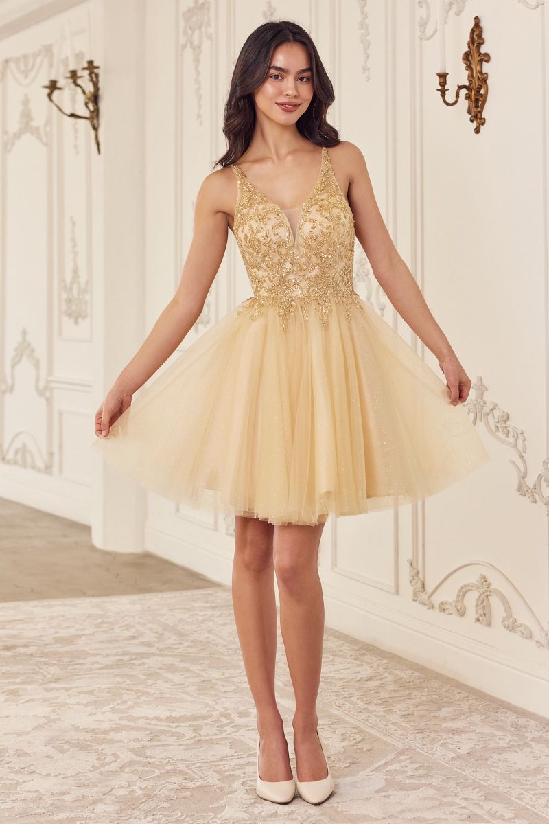 Beaded A-Line Layered Tulle Short Dress LuxuryLifeWay Online Store
