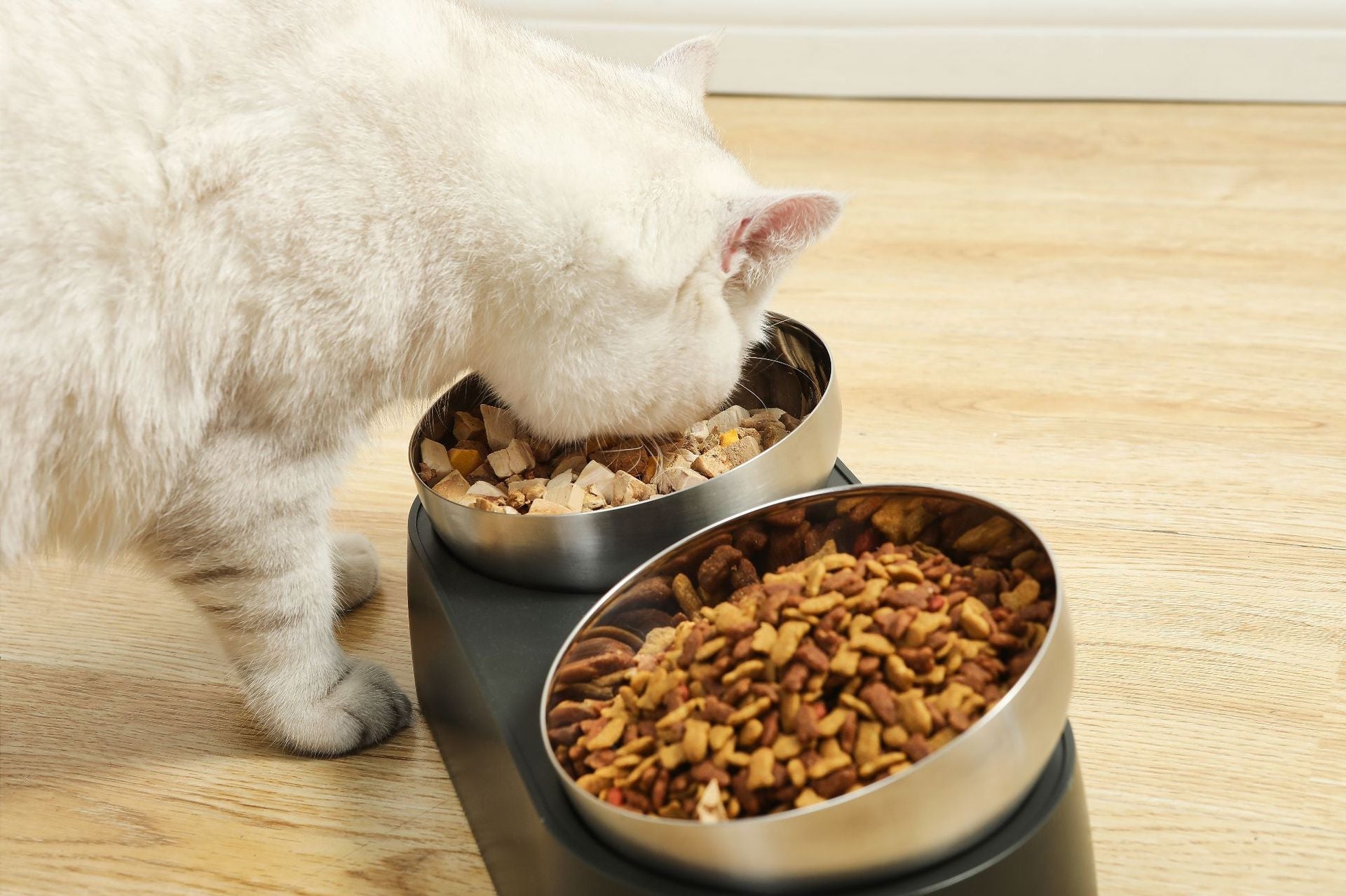 Pet Neck Protection Cat Oblique Mouth Anti-tumble Bowl Pets Fashion