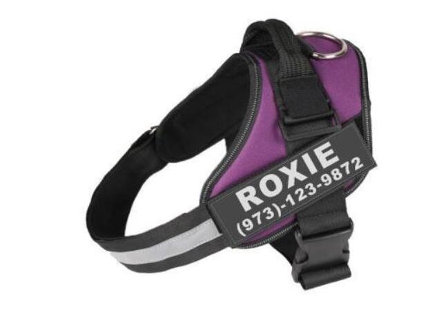 Personalized Dog Harness No Pull Reflective Breathable Adjustable Pet Harness For Small Large Dog Harness Vest With Custom Pets Fashion