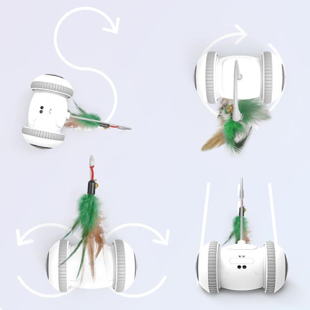 Interchangeable Cat Feather Toy Pets Fashion
