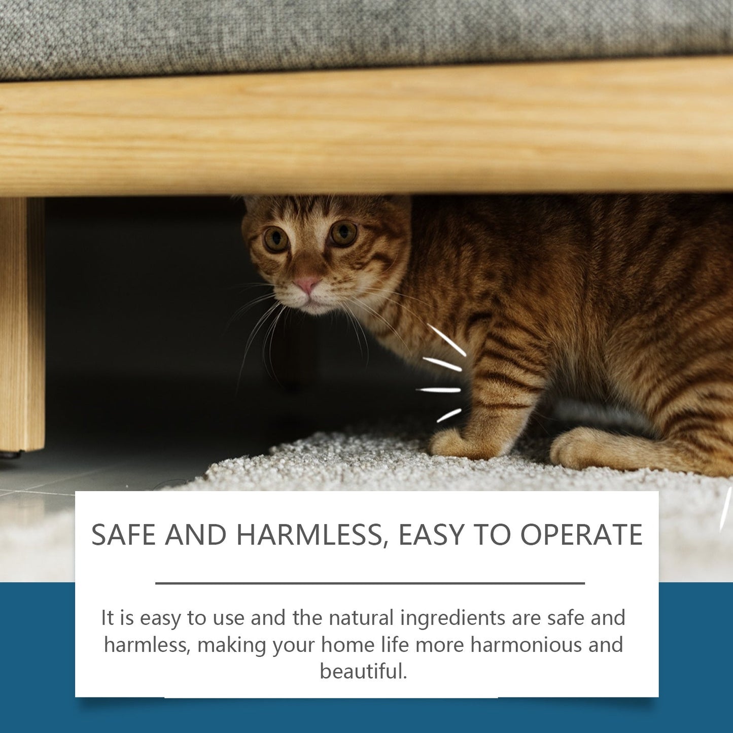 Pet Insect Repellent Prevent Cats From Going To Bed Spray Pets Fashion