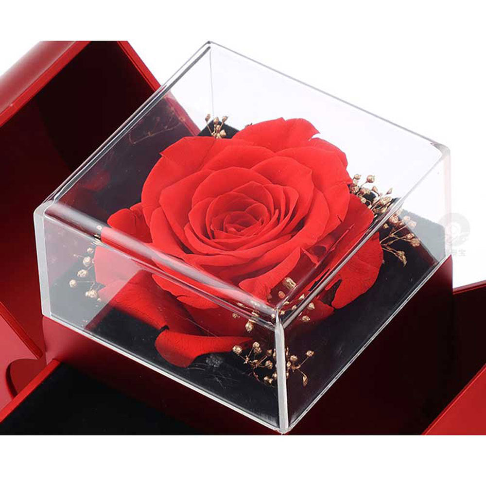 Niche Mother's Day Gift Clavicle Chain Apple Box Set LadyShow.Store