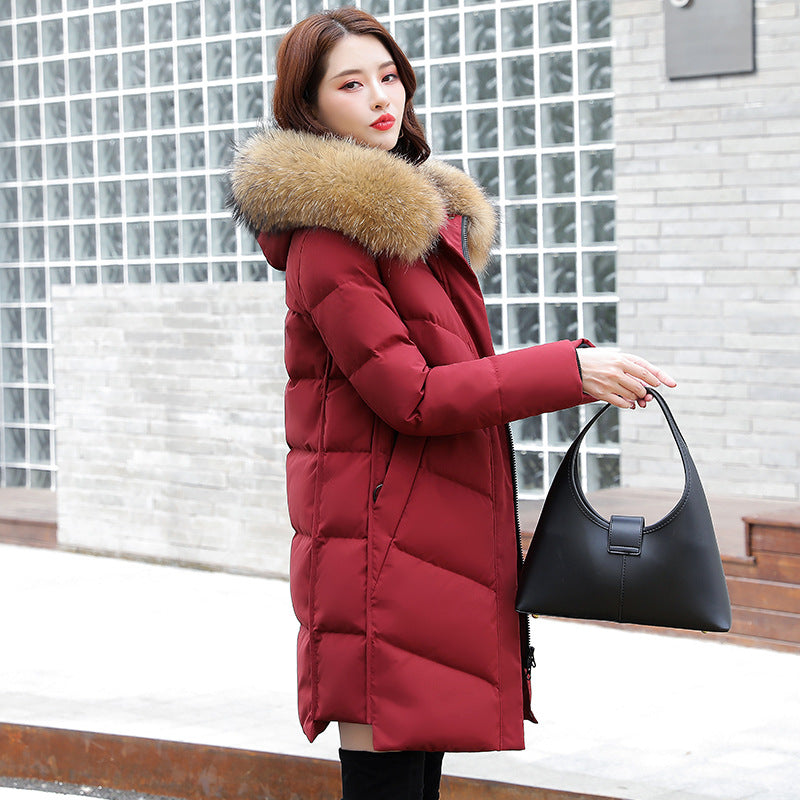 2020 Women's Korean Hooded White Duck Down Jacket Pi-Mart