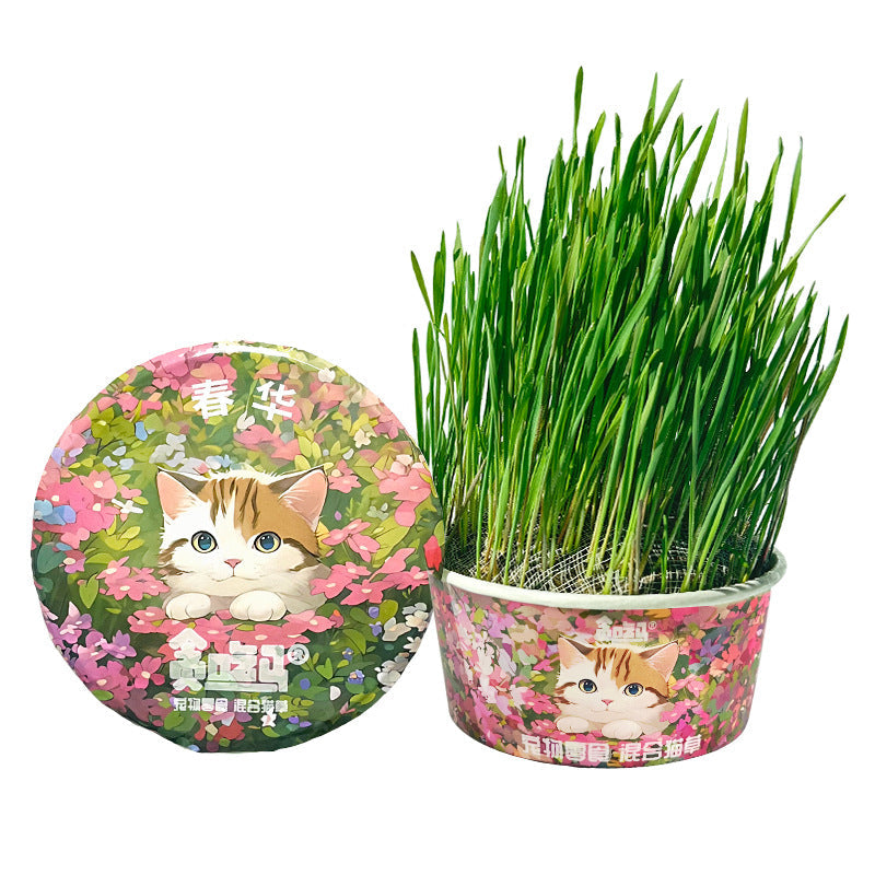 Soil-free Mixed Cat Grass Treats Pets Fashion