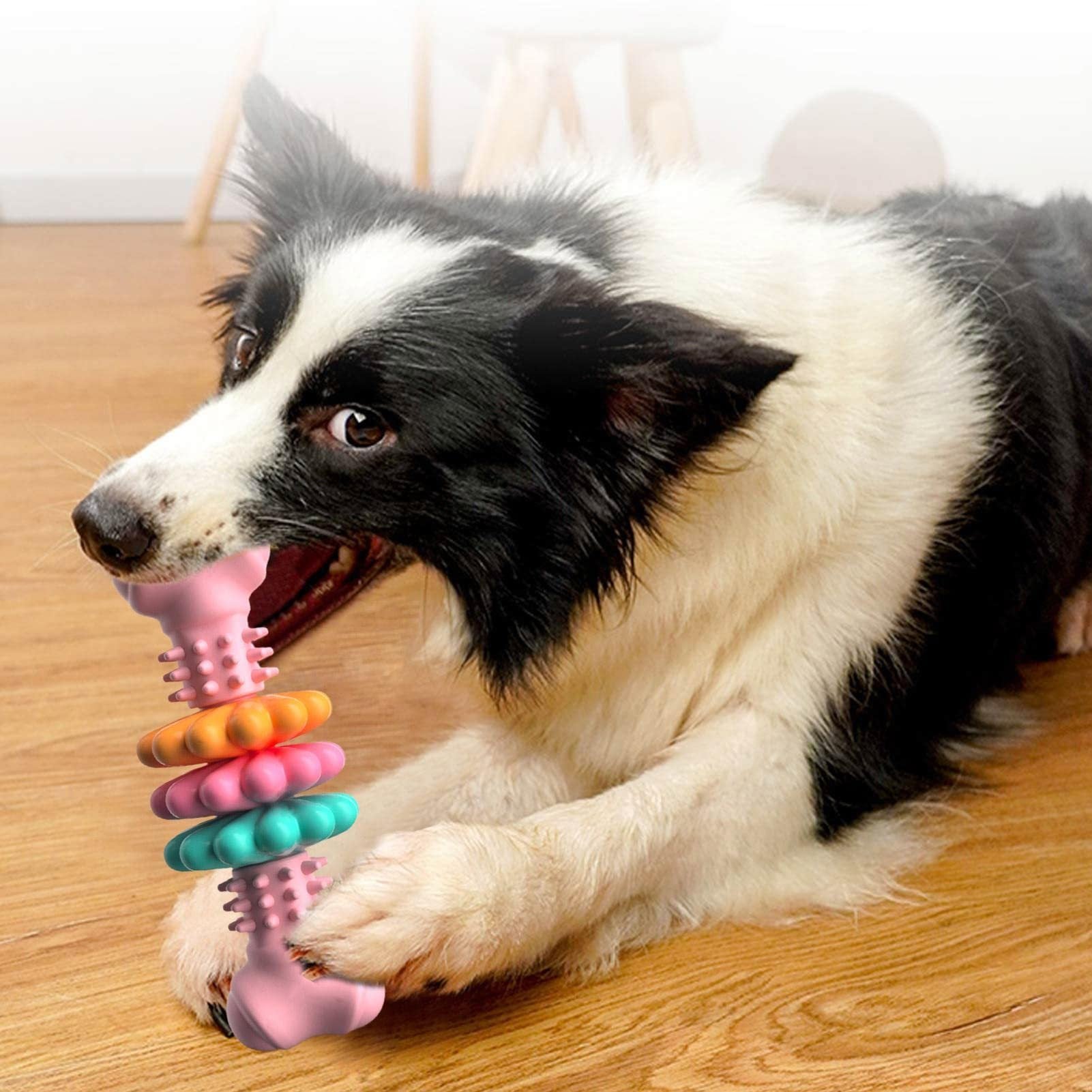 Dog Chew Bone Toy Pets Fashion